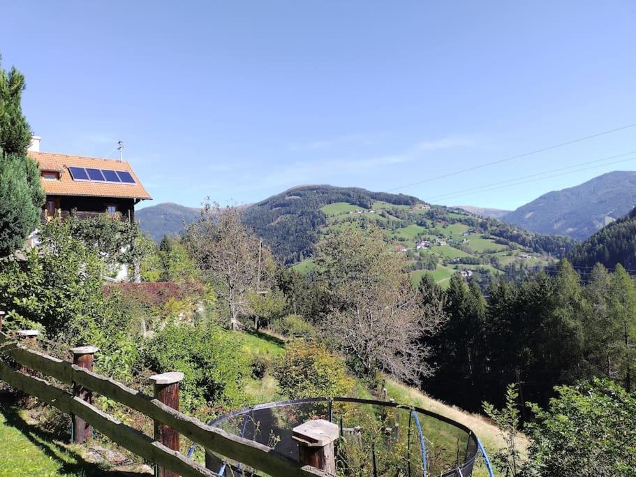 Fw Schnuckel In 300A Altem Bergbauernhaus 1110M Plessnitz Buitenkant foto